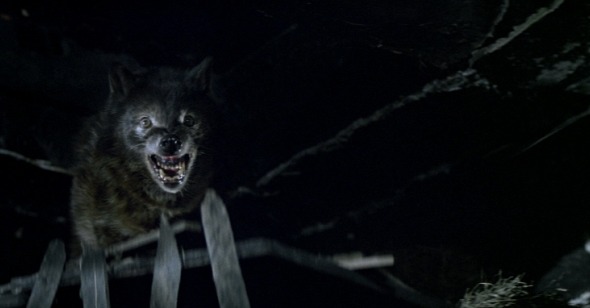 Night of the Werewolf (1981)